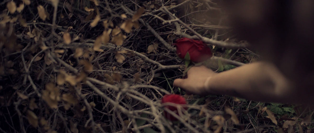 Rose film still 4